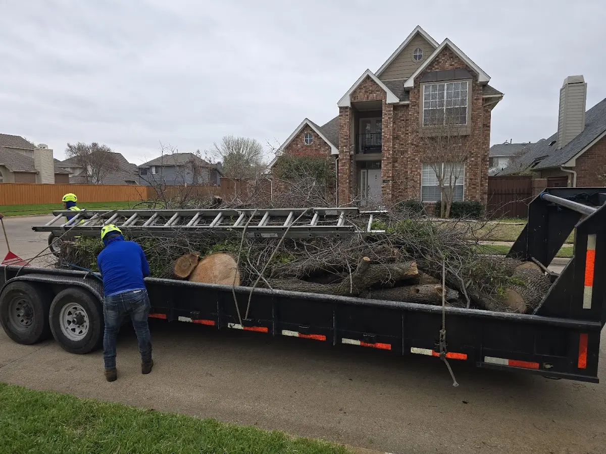 Expert Tree Fertilization with proper safety equipment in Mount Carmel